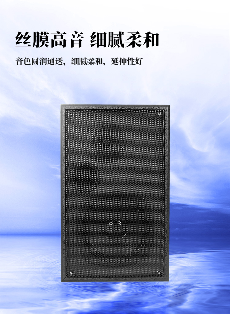 YX555-5.5寸黑有源音箱_02.jpg